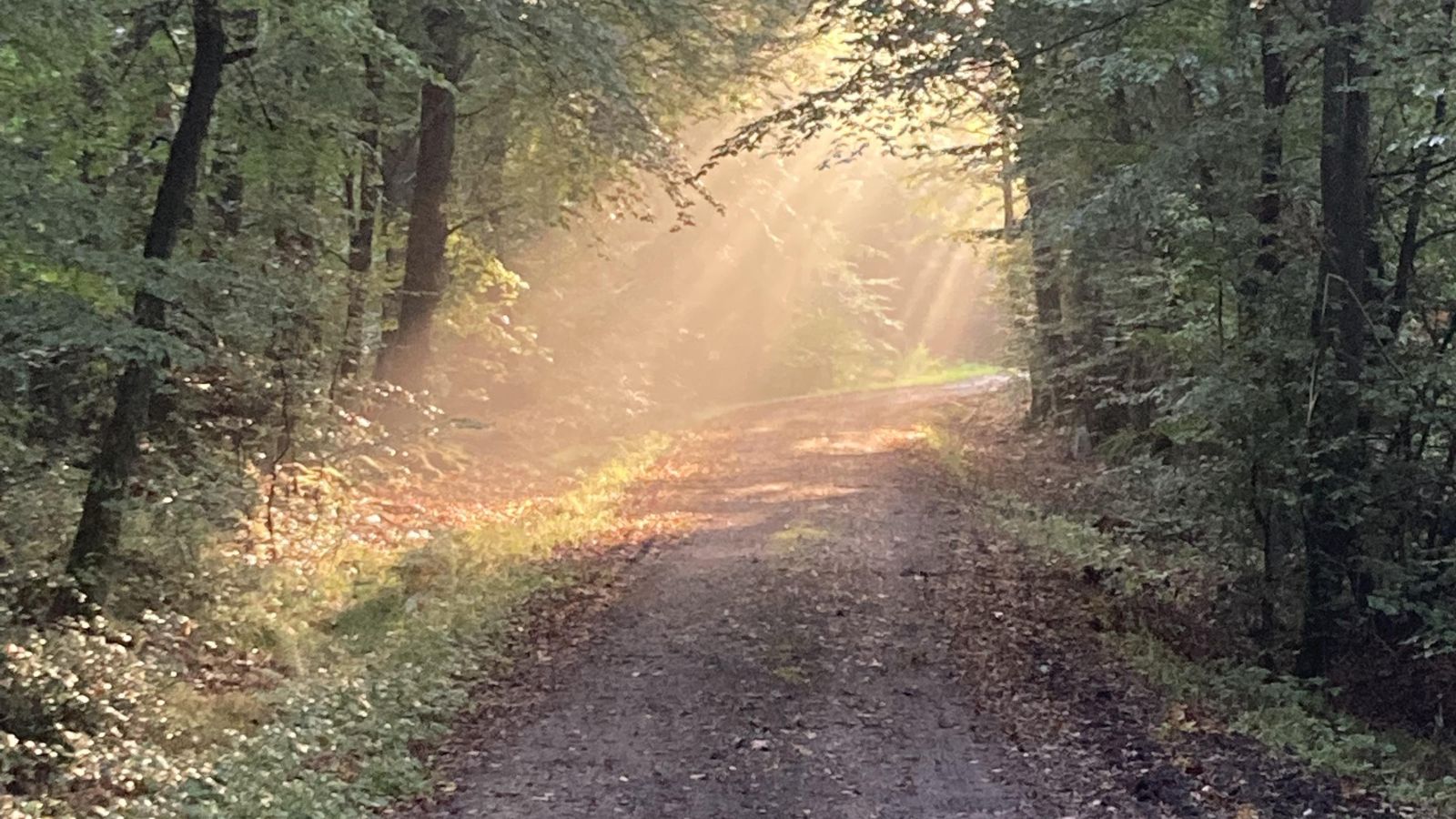 Bild zum Thema: Herbstexkursion des ÖJV-SH