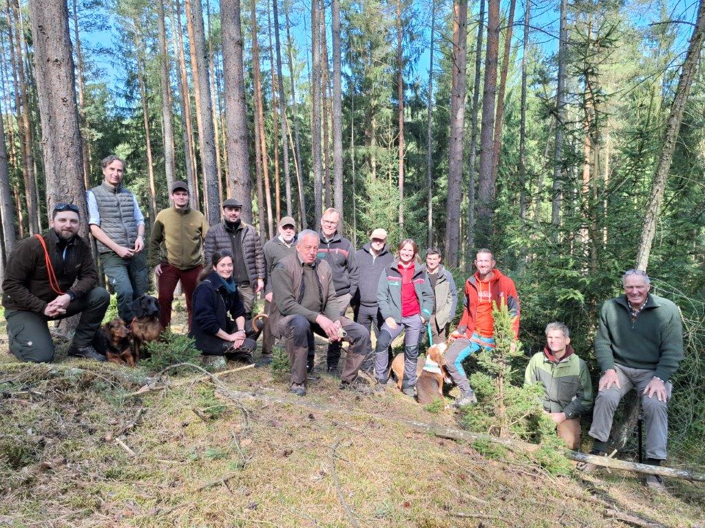 Bild zu: Umbau zu klimastabilen Mischwäldern auf Grundlage des Dauerwaldgedankens und angepasster Wildbestände Bild zu: Umbau zu klimastabilen Mischwäldern auf Grundlage des Dauerwaldgedankens und angepasster Wildbestände