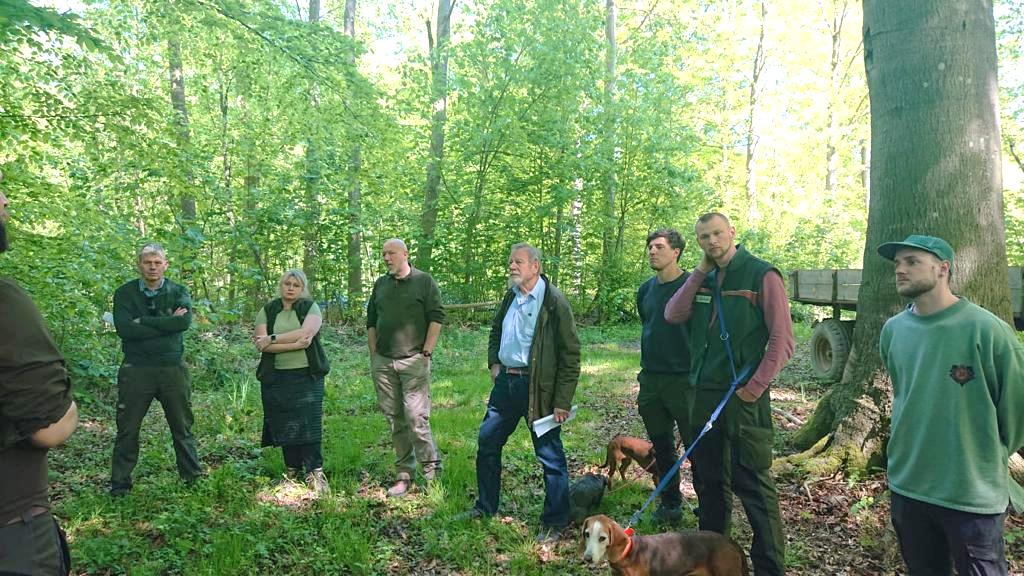 Bild zu: Frühjahresexkursion des ÖJV Schleswig-Holsteins Bild zu: Frühjahresexkursion des ÖJV Schleswig-Holsteins