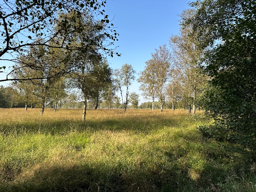 Bild zu: Herbst- Exkursion des ÖJV-SH in den Duvenstedter Brook und Jahreshauptversammlung am 06.09.2024 Bild zu: Herbst- Exkursion des ÖJV-SH in den Duvenstedter Brook und Jahreshauptversammlung am 06.09.2024