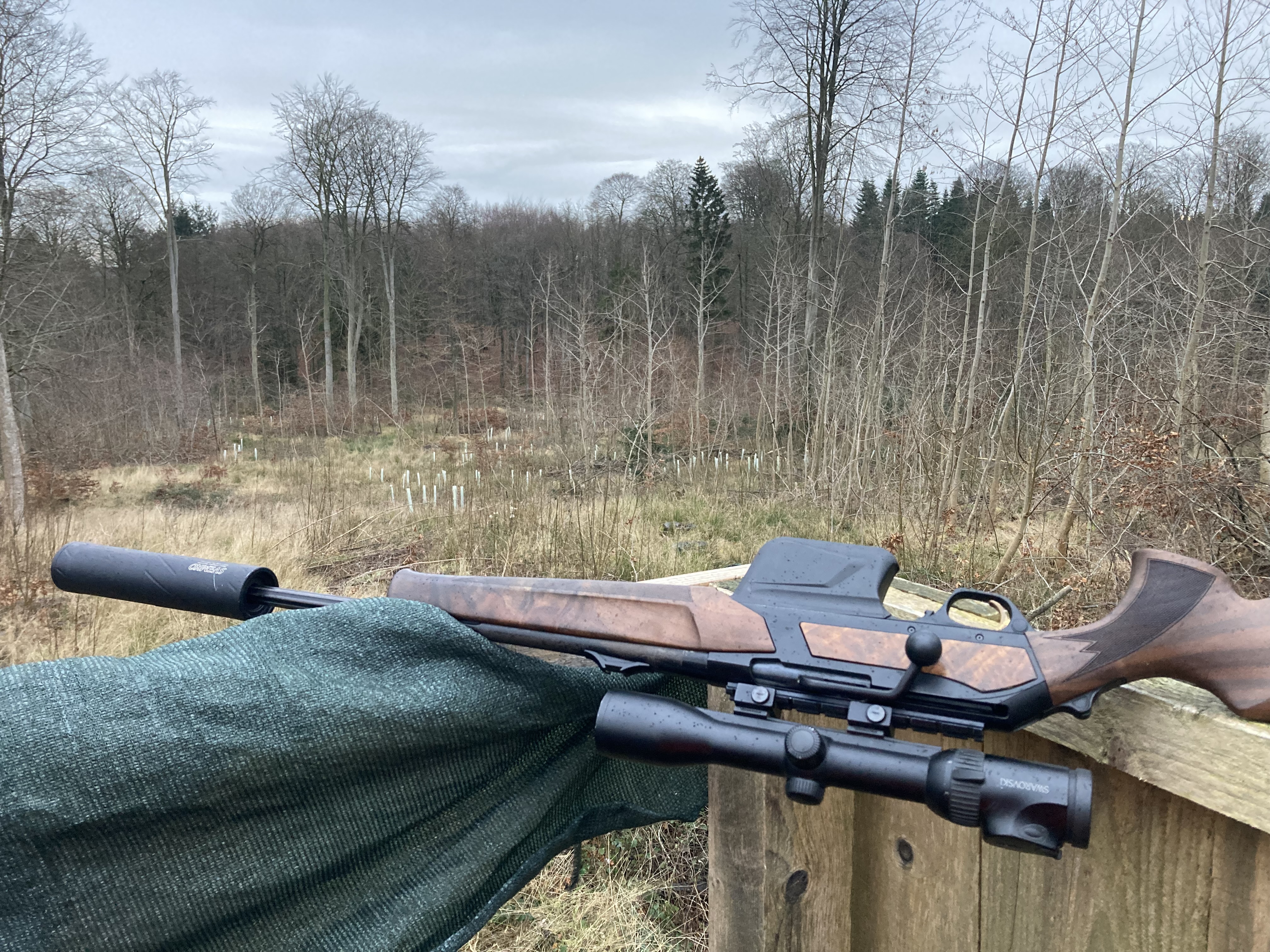 Bild zu: Weihnachtsjagd des ÖJV- Schleswig Holstein